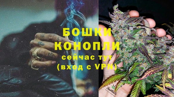 ECSTASY Иннополис